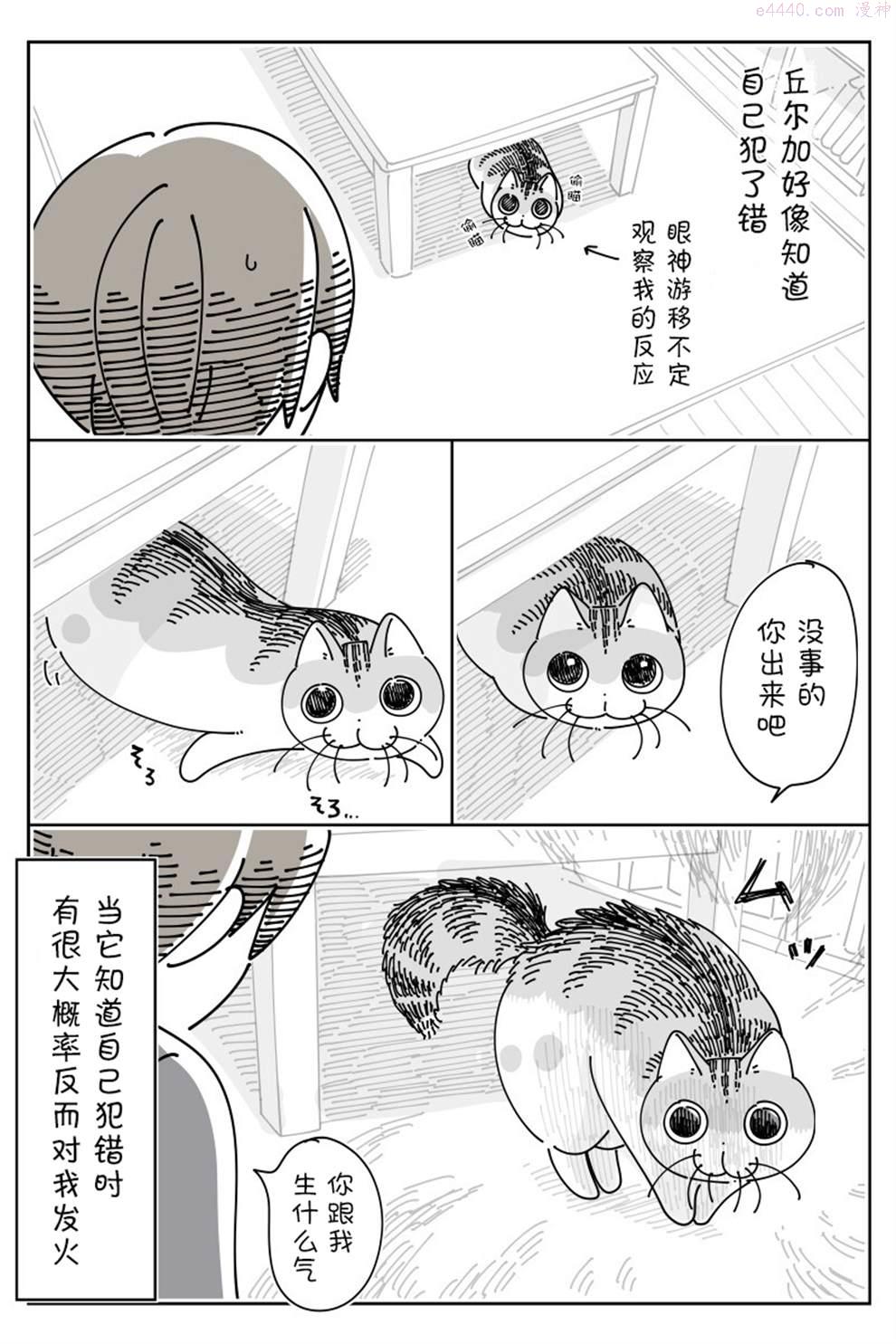 关于养猫我一直是新手漫画,第143话3图