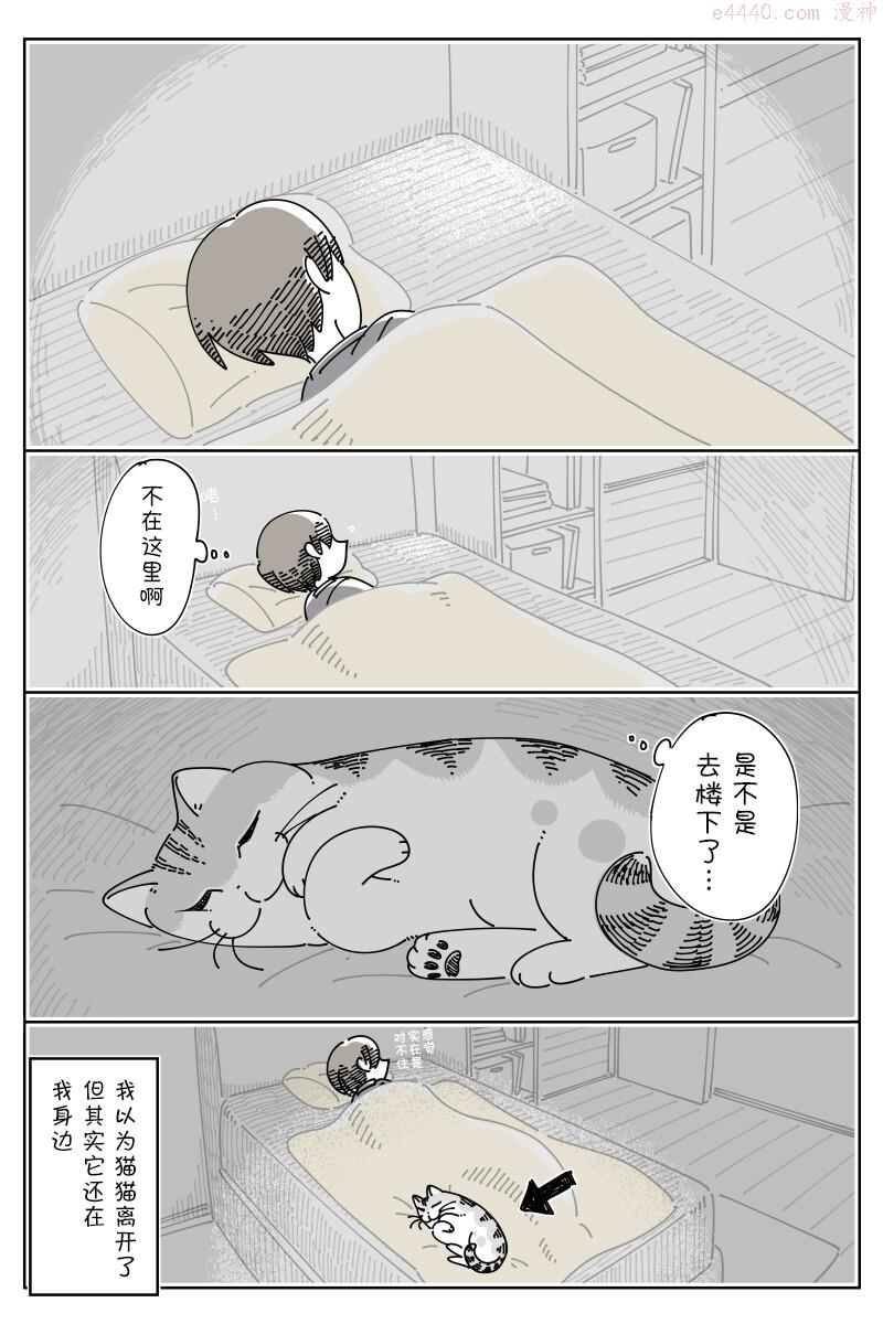 关于养猫我一直是新手 图片漫画,第149话4图