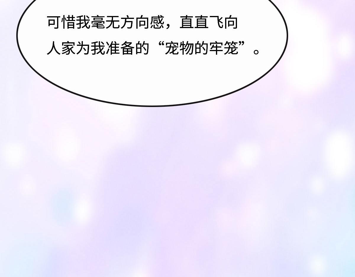 花与同谋小说免费阅读漫画,第54话 玩偶之家101图