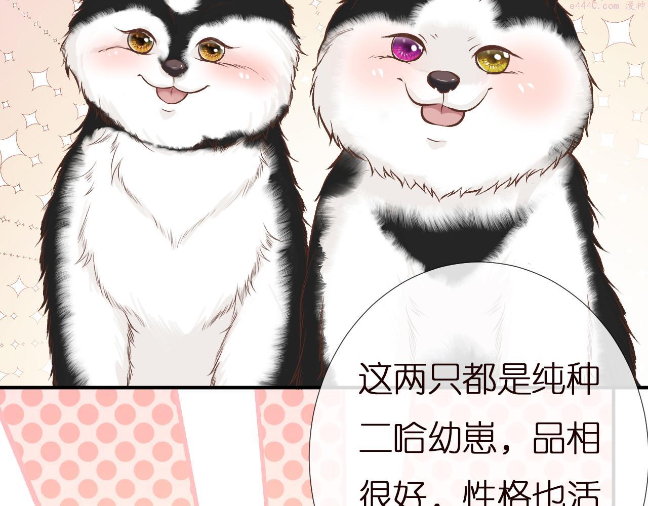 满级大佬翻车以后漫画免费下拉式漫画,第149 生日礼物48图