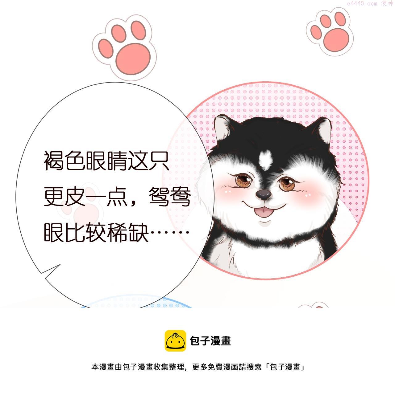 满级大佬翻车以后漫画免费下拉式漫画,第149 生日礼物50图