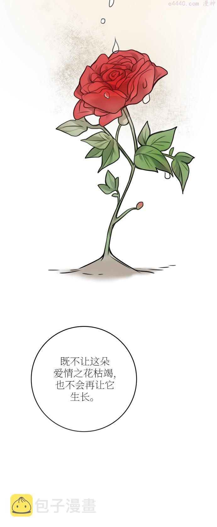 魔女和龙的新婚日记漫画,外传 156图