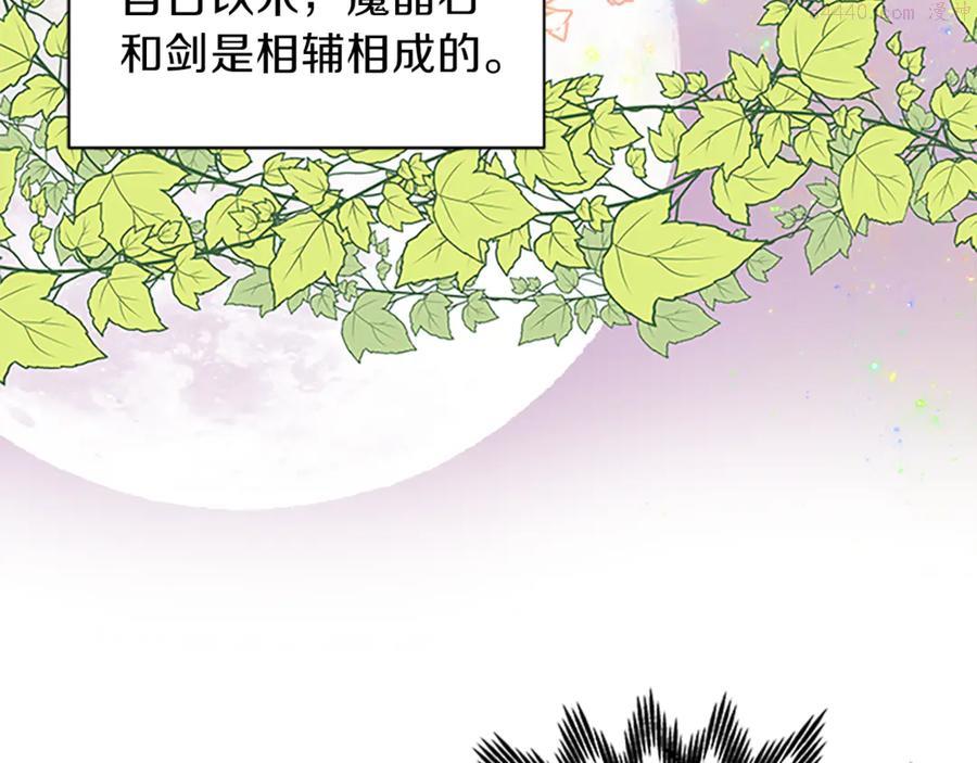 女伯爵的结婚请求小说漫画,第17话 骑士决斗27图