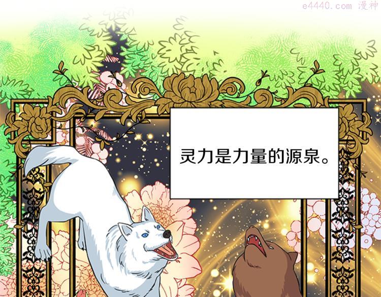 女伯爵的结婚请求漫画,第24话 龙之心23图