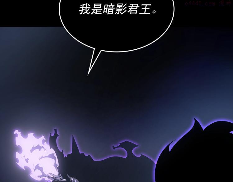 我独自升级漫画,第162话 开始和结束81图