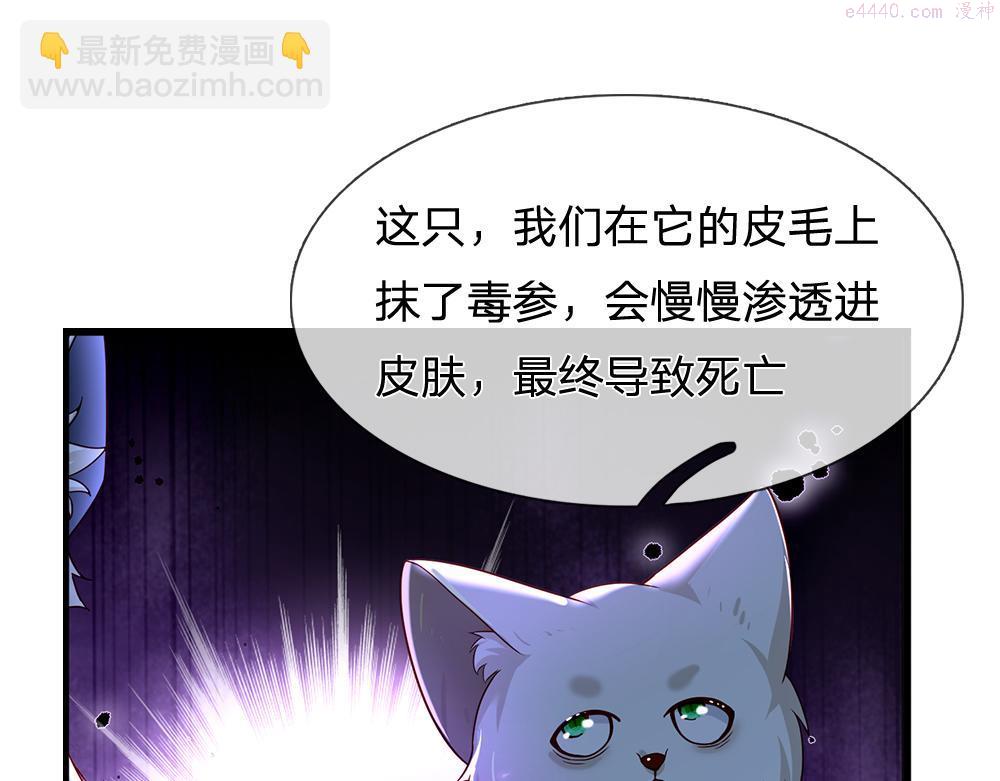 我，伊蒂丝女皇漫画,第176话 这只猫有问题68图