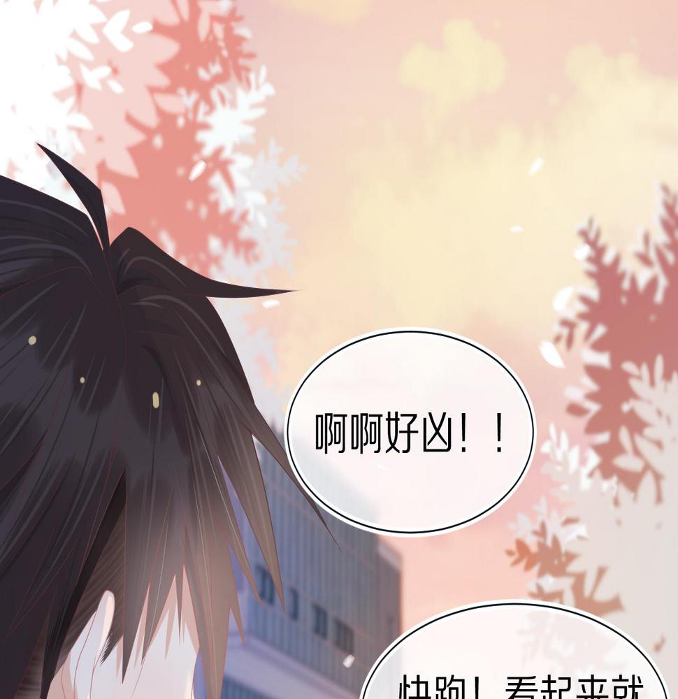 一口吃个兔漫画,第3话 这只兔子有点危险！71图