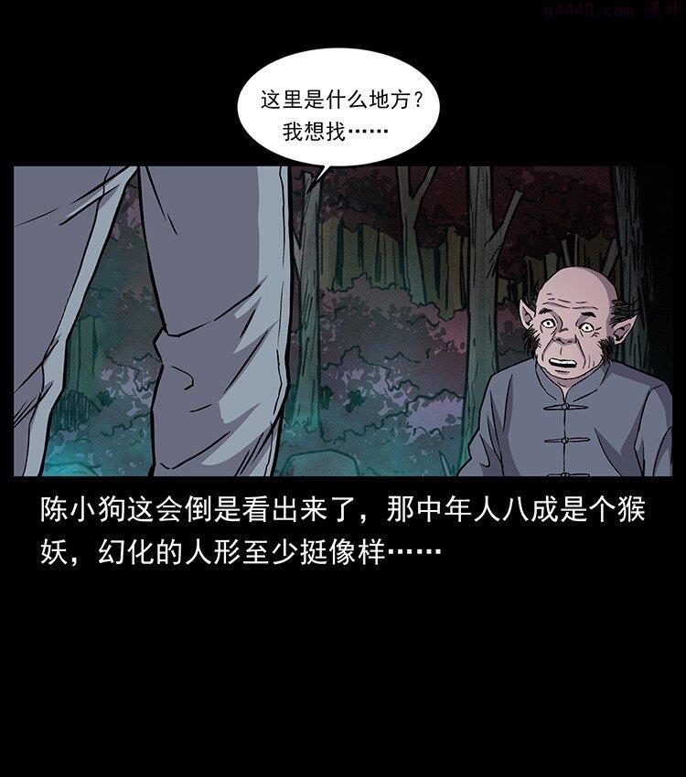 幽冥诡匠陈小狗漫画全集免费观看漫画,490 黑暗森林36图