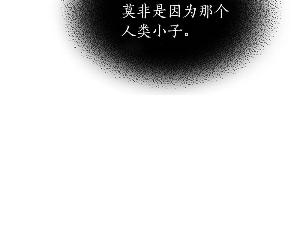 与神一同升级漫画免费观看完整版漫画,第63话 获得海石线索261图