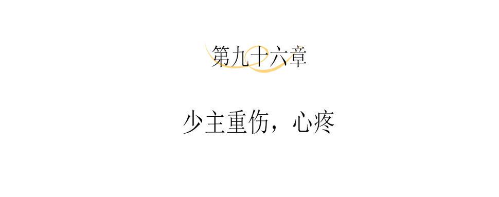 主人与她的7位恋人漫画解说漫画,第96话 少主重伤，心疼4图