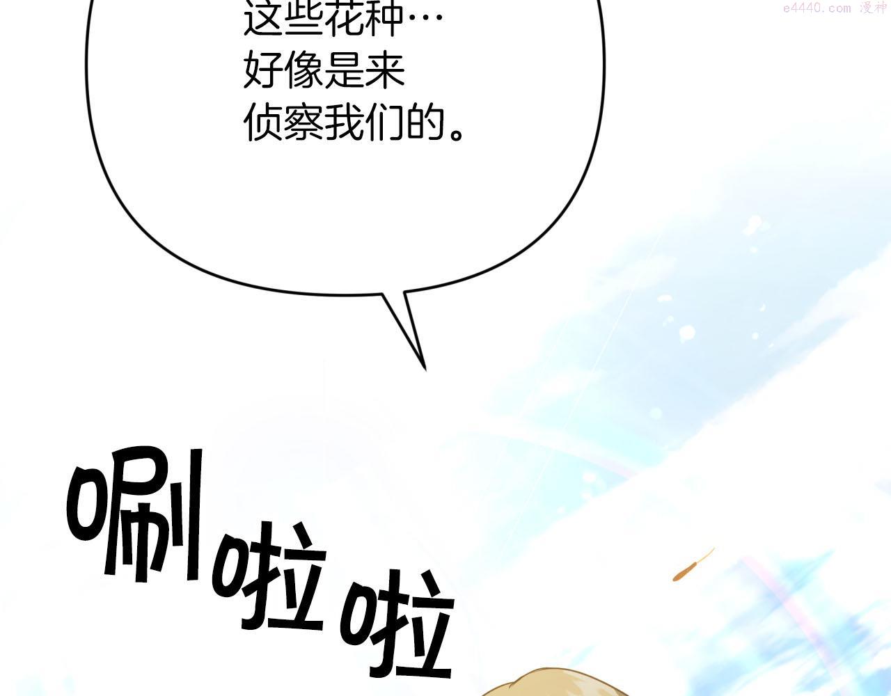 钻石小姐历险记漫画,第24话 蒲公英群部落154图