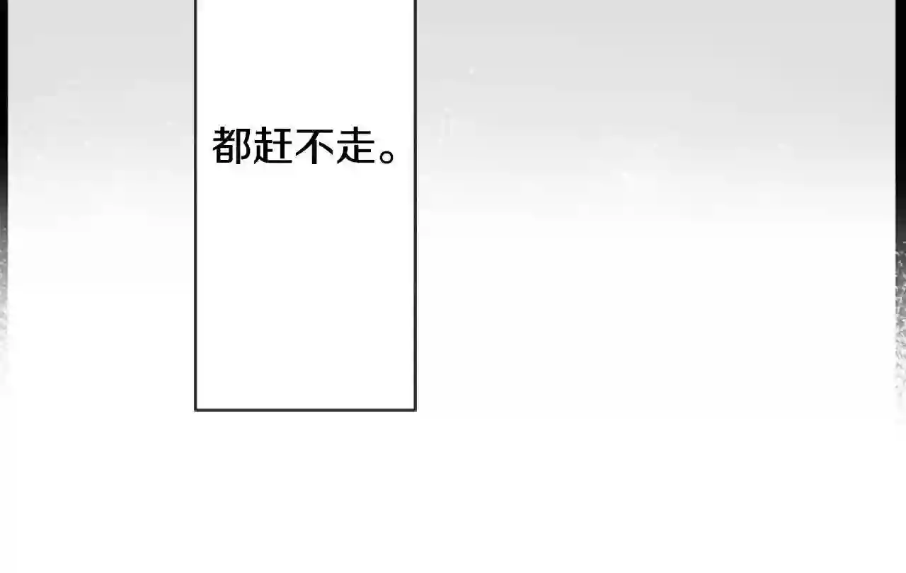 哥哥~请你收养喵漫画,第11话 转来转去的回忆10图