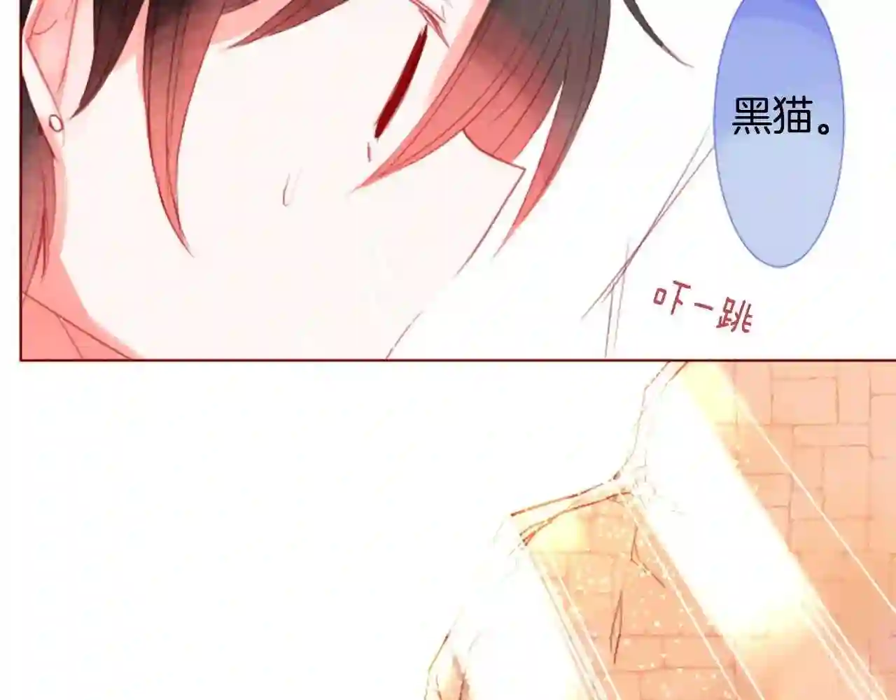 哥哥~请你收养喵漫画,第34话 魔法师和恶魔猫233图