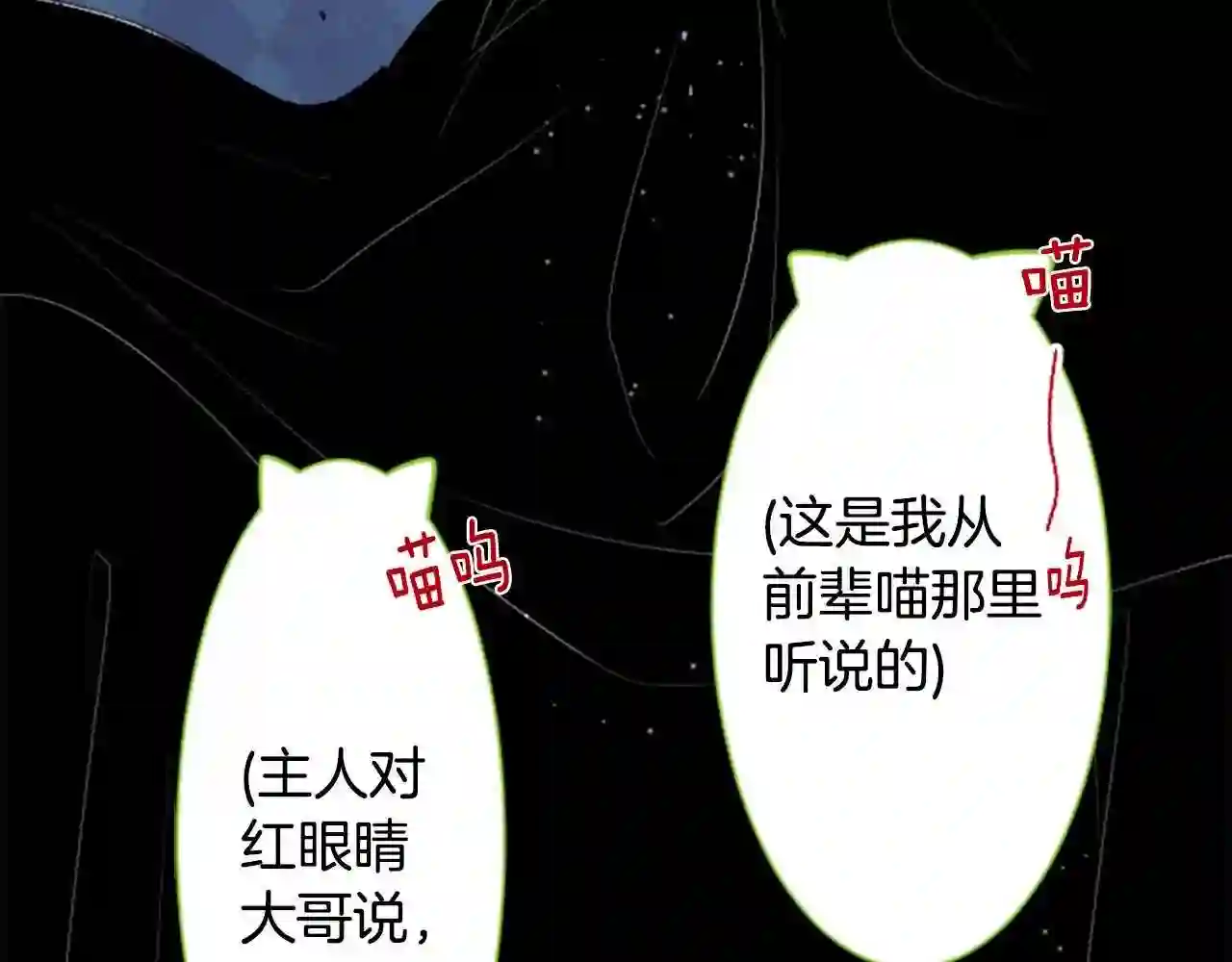 哥哥~请你收养喵漫画,第34话 魔法师和恶魔猫286图