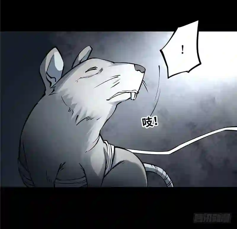 阴间商人漫画,第三卷 阎王刑场 3119图