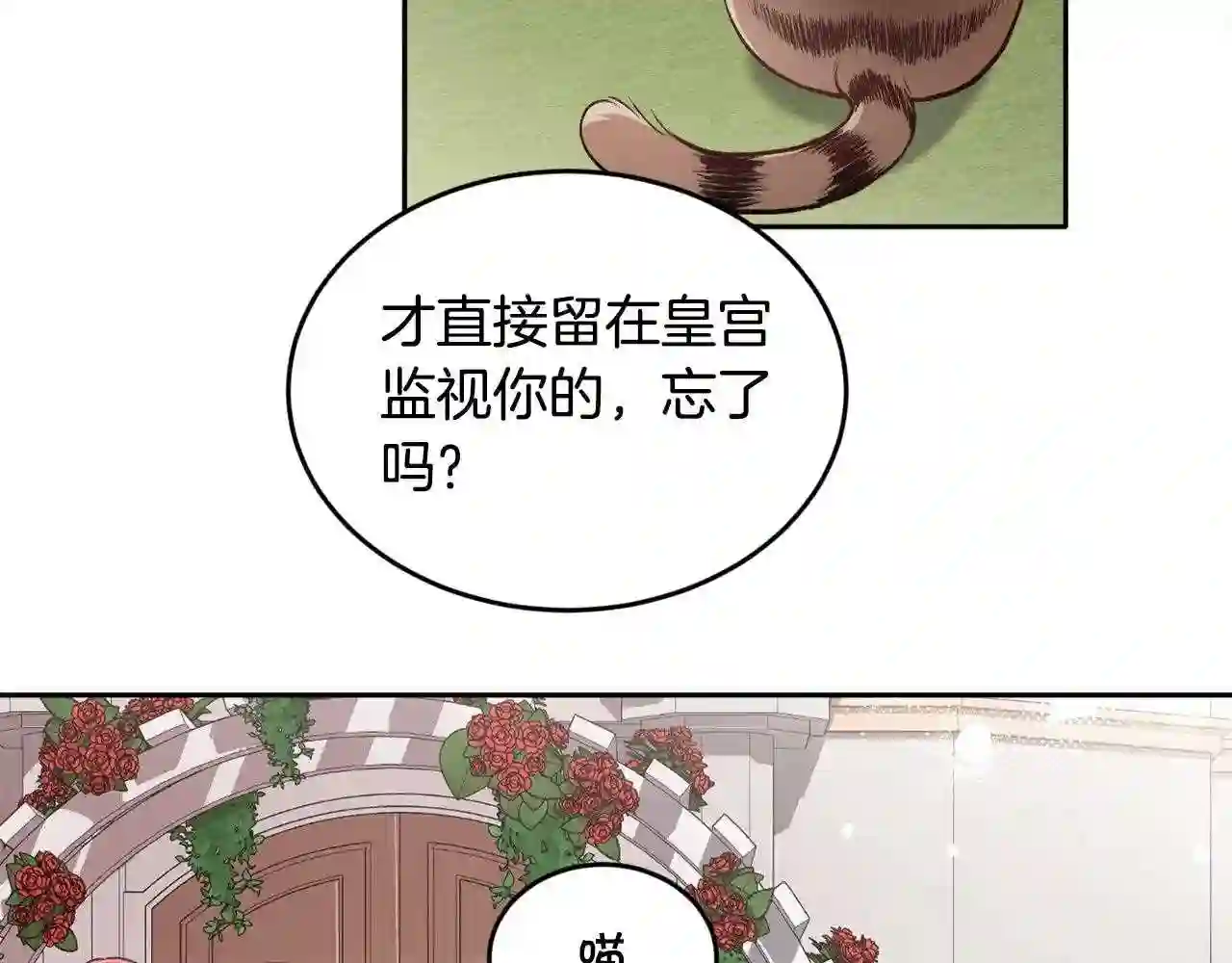 精灵团宠小千金动漫合集漫画,第107话 彻底闹翻22图