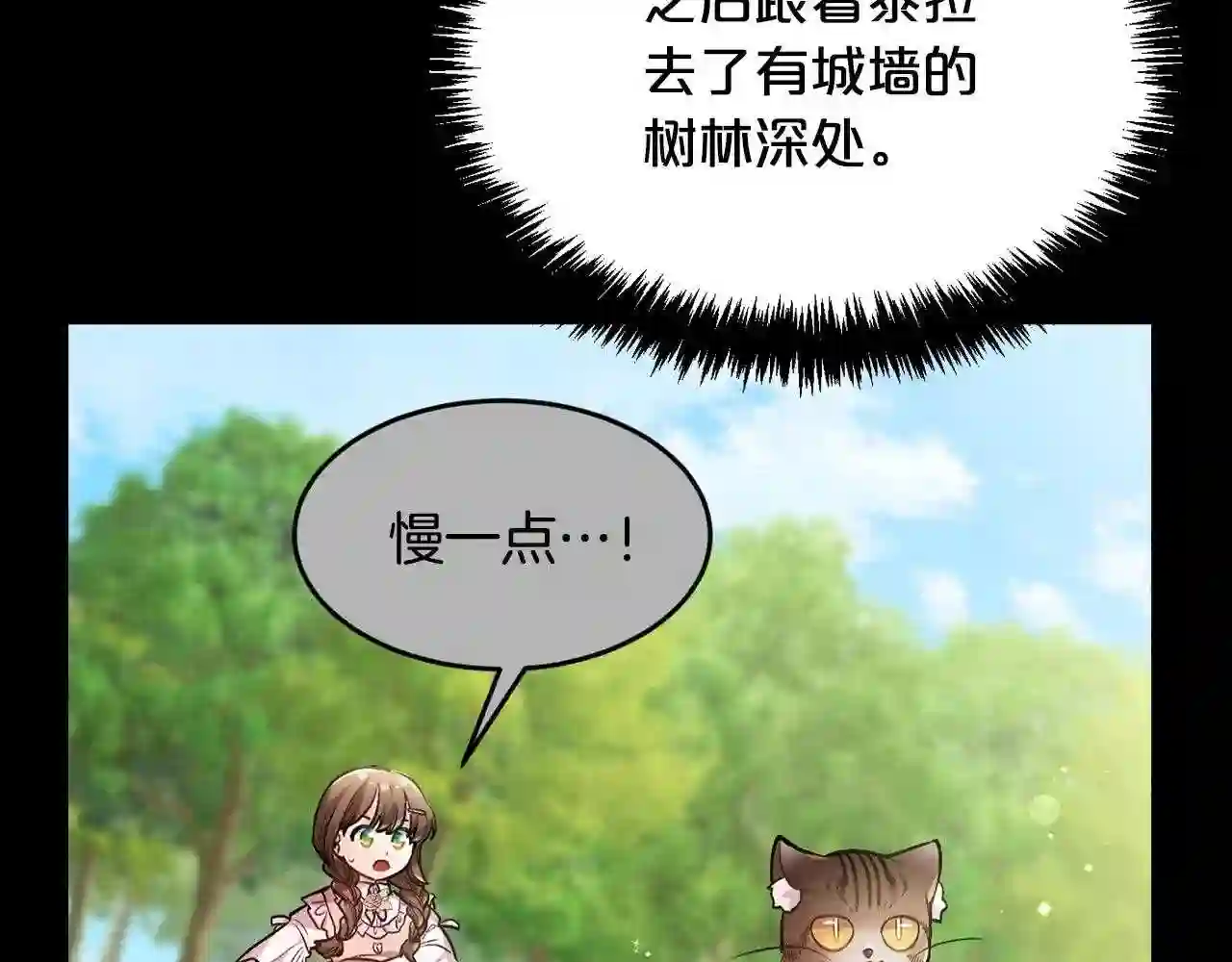 精灵团宠小千金动漫合集漫画,第107话 彻底闹翻176图