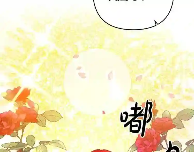 离婚吧老公大人免费阅读漫画,第1话 离婚吧!12图