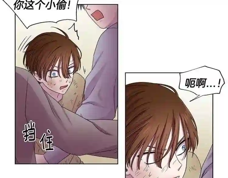 新娘的假面2-黄金时代漫画在线阅读漫画,第29话 母胎单身?36图