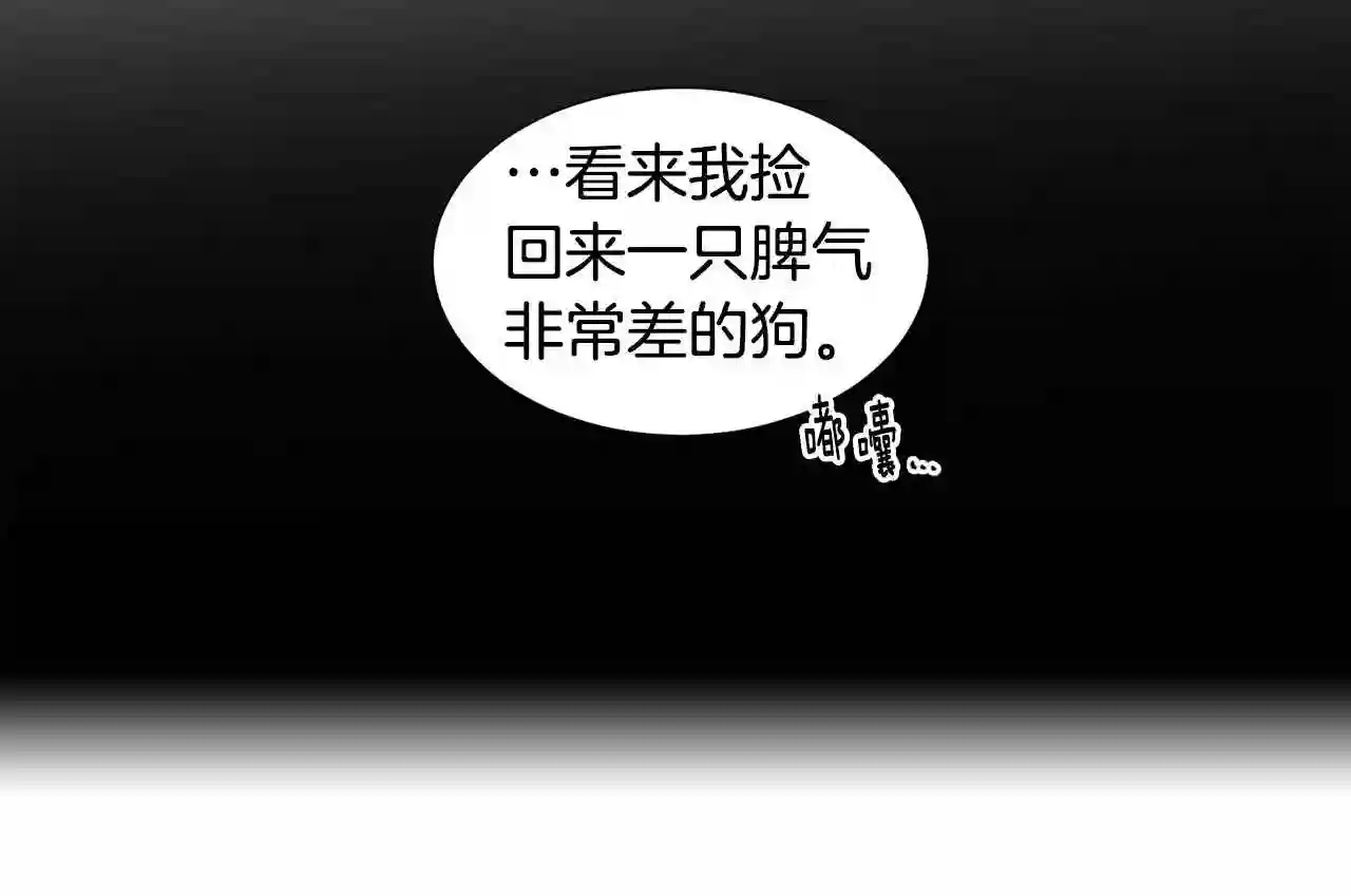 新娘的假面2黄金时代普莱德漫画,第75话 噩梦80图