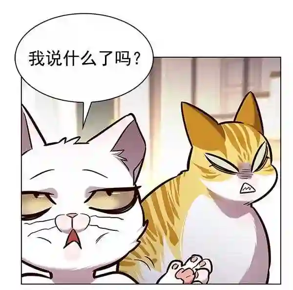 觉醒吧铲屎官162漫画,第186话34图