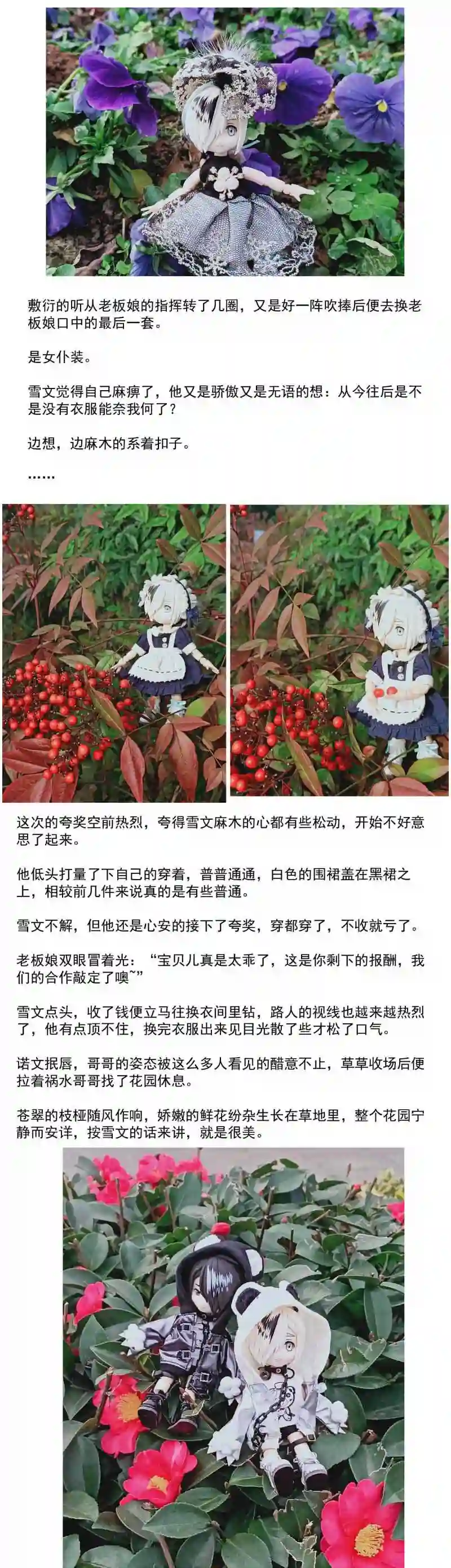 我愿为你献上黎明漫画,信11图