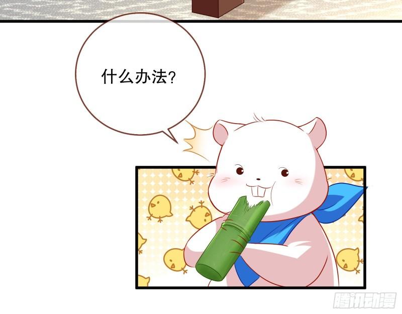 万渣朝凰动漫全集免费漫画,第一个要搞的人14图