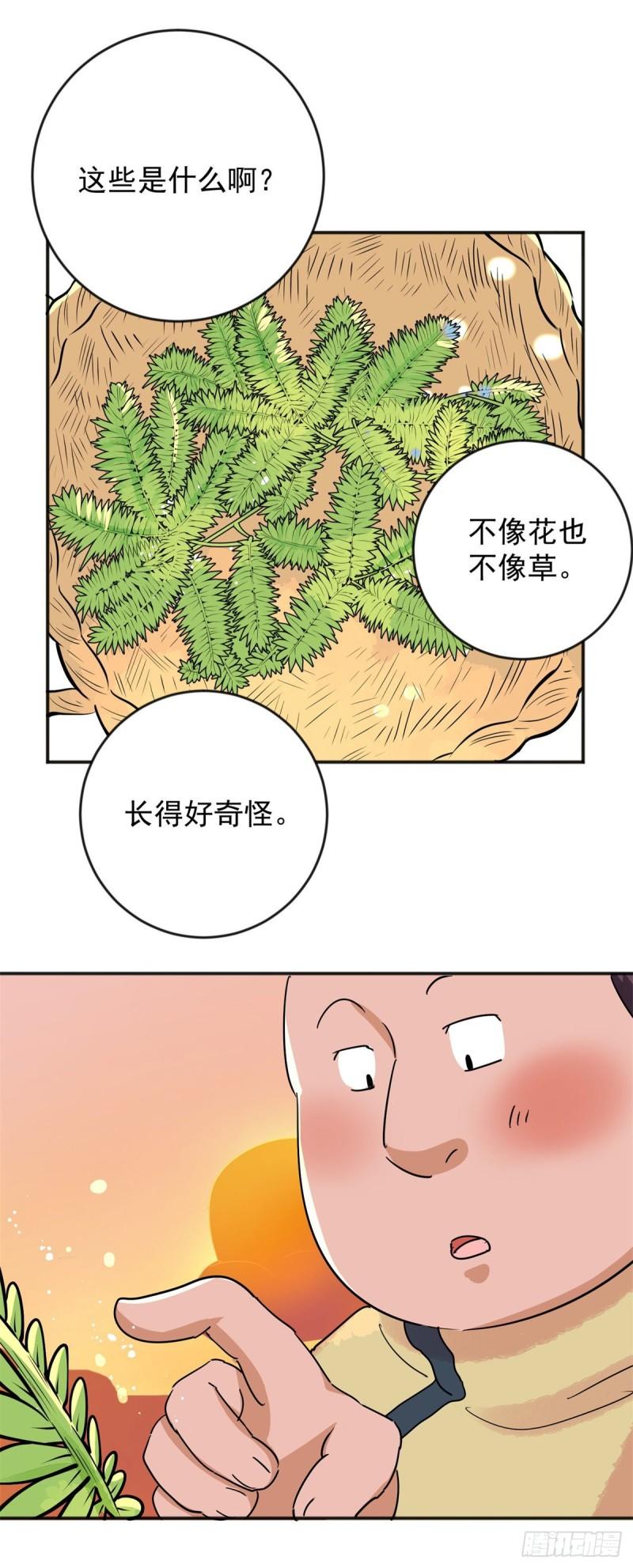 雪山·草地·传说少年登巴的故事漫画,第146话 赌王之子（二十二）6图