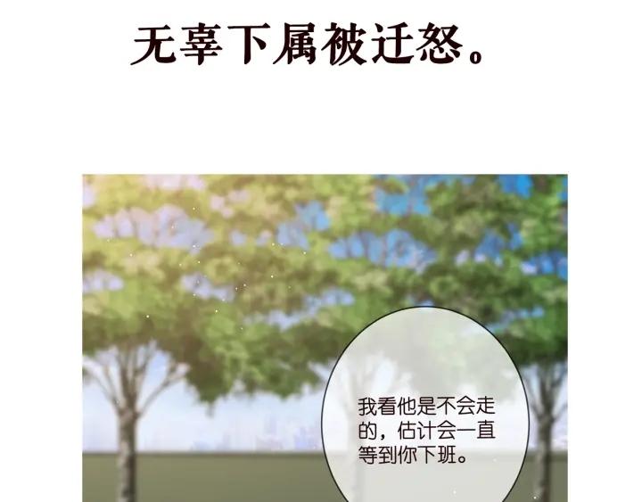 名门挚爱:帝少的千亿宠儿小说免费阅读漫画,第431 少夫人，上车吧112图