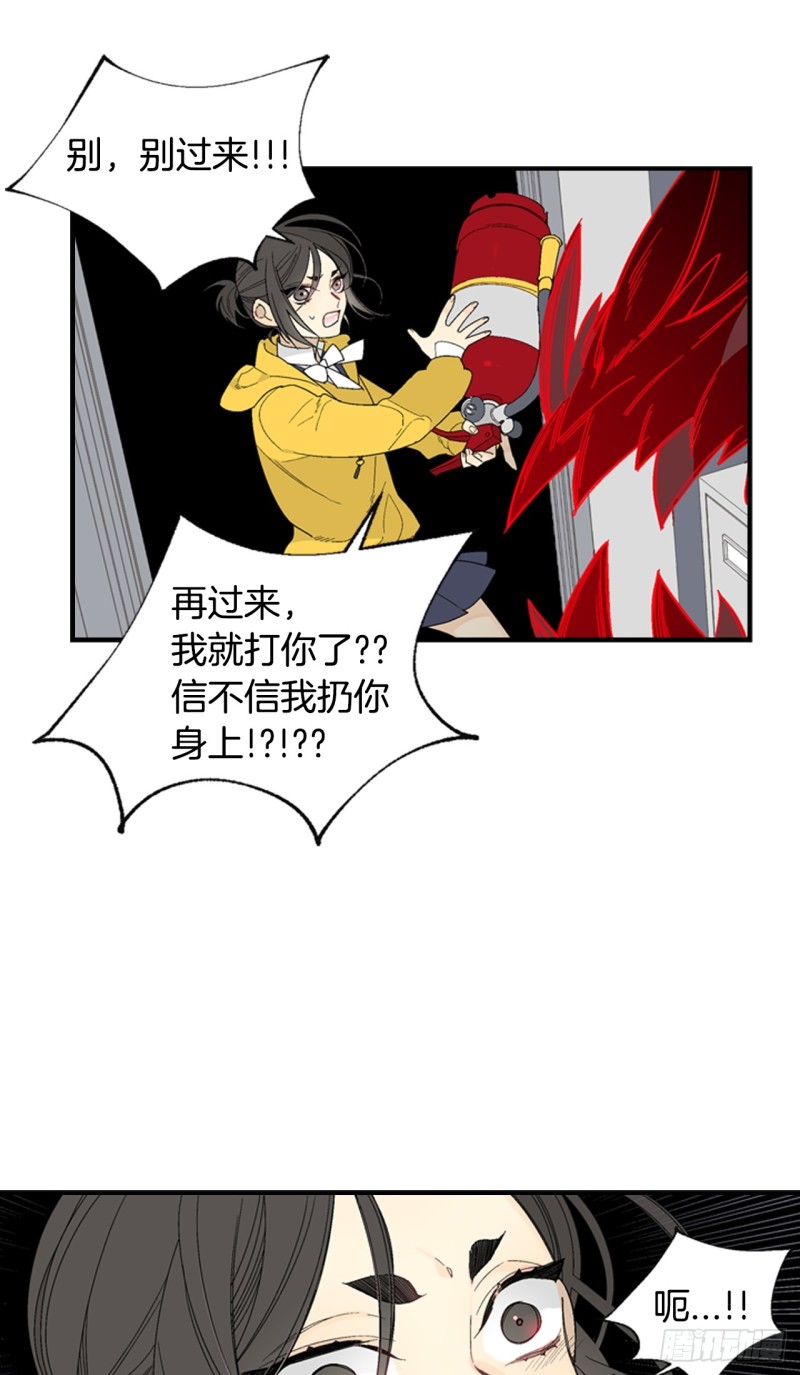 迷蝶方知尔之界漫画,0241图