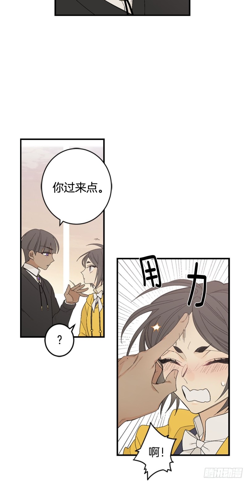 迷蝶方知尔之界漫画,0334图