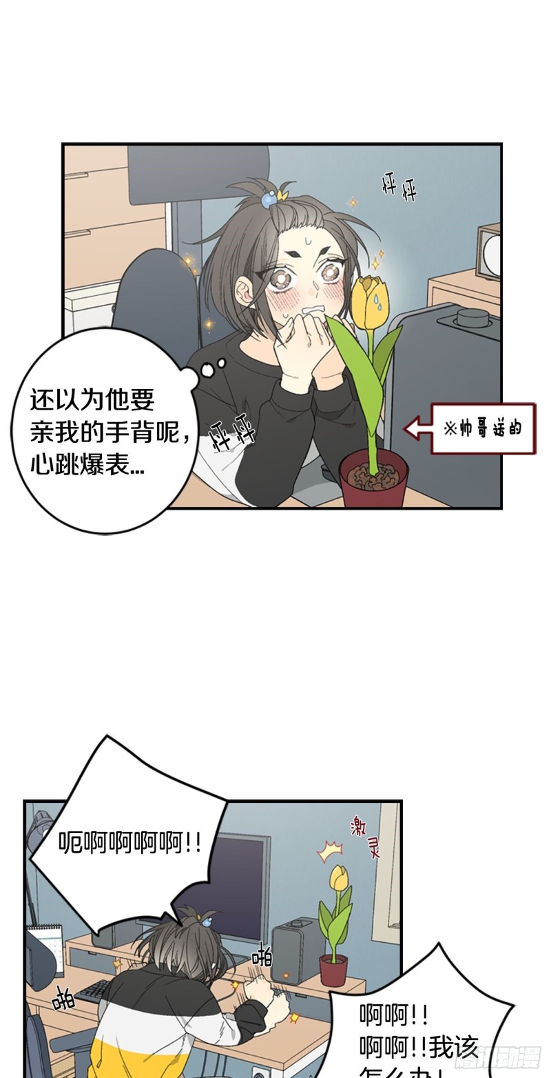 迷蝶方知尔之界漫画,0428图