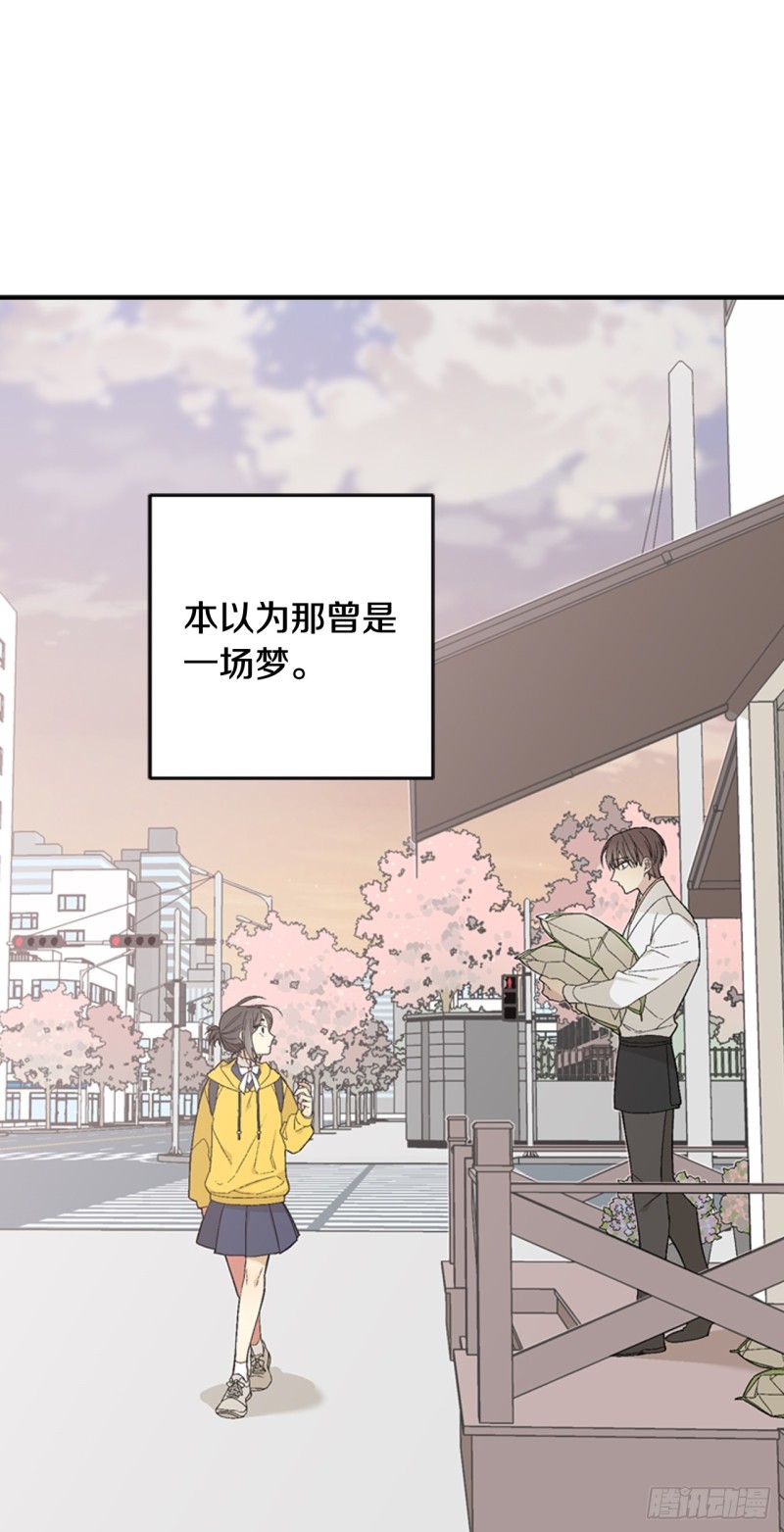 迷蝶方知尔之界漫画,041图