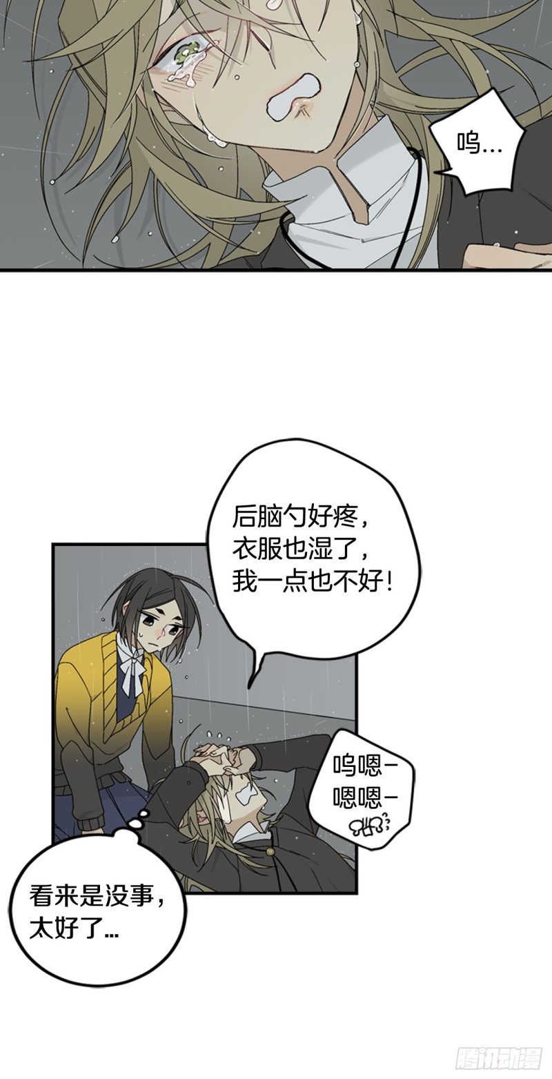 迷蝶方知尔之界漫画,0532图