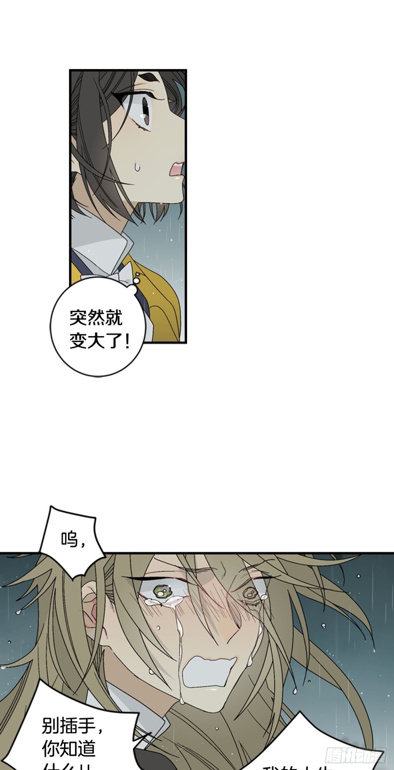 迷蝶方知尔之界漫画,0523图