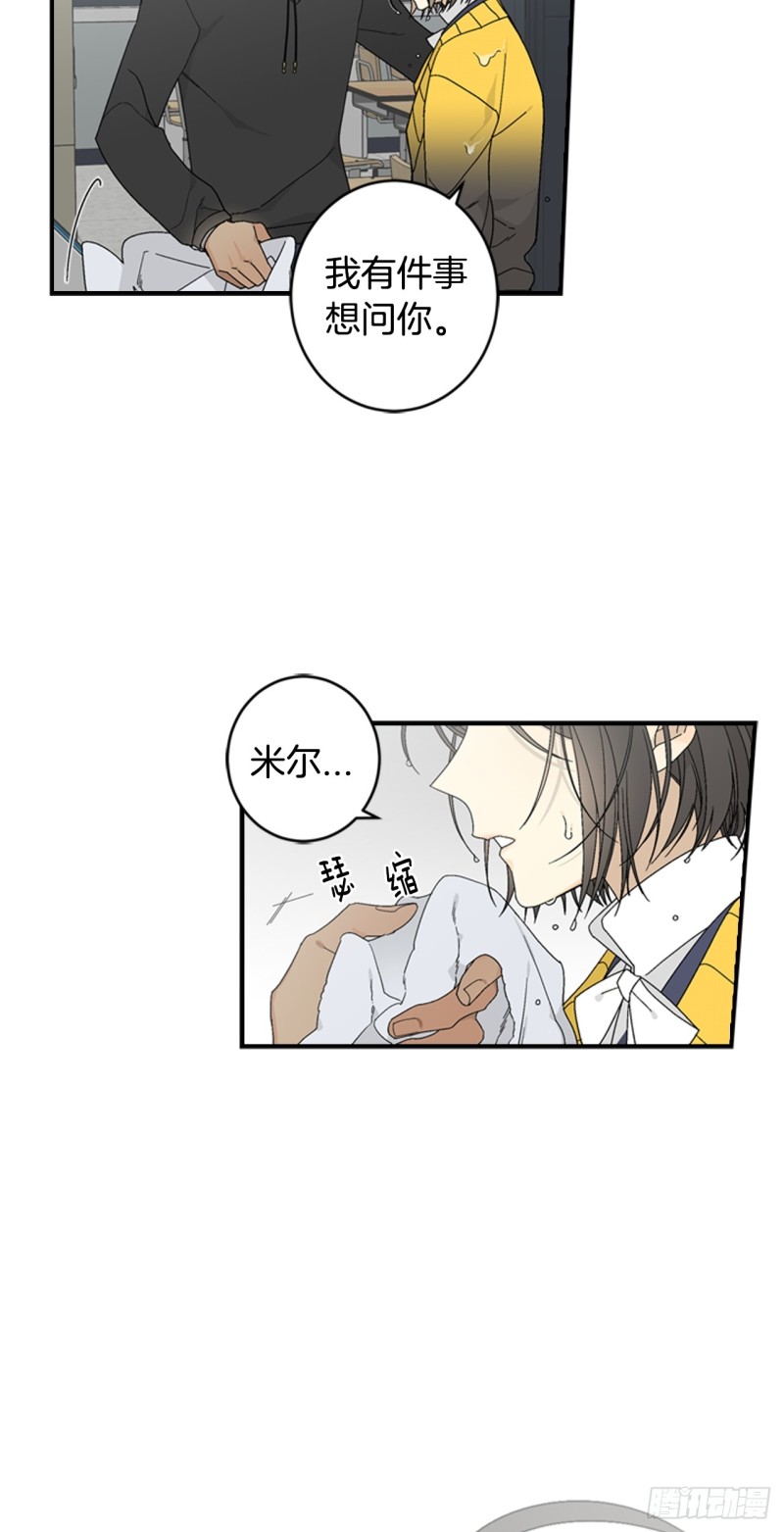 迷蝶方知尔之界漫画,0537图