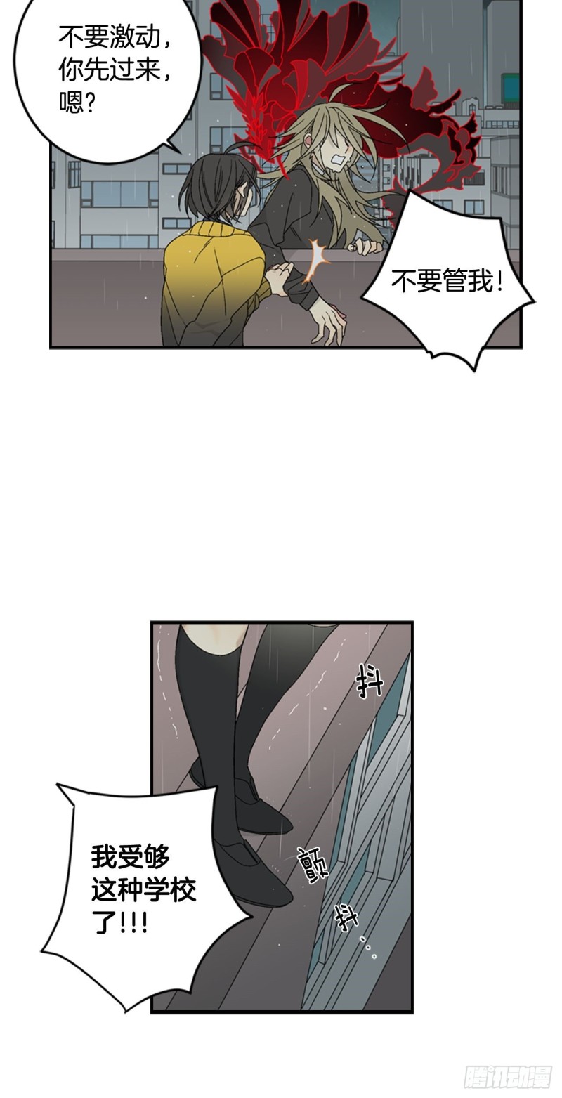 迷蝶方知尔之界漫画,0521图