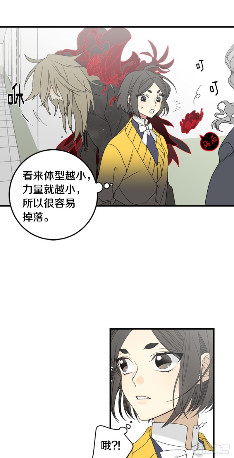 迷蝶方知尔之界漫画,0510图