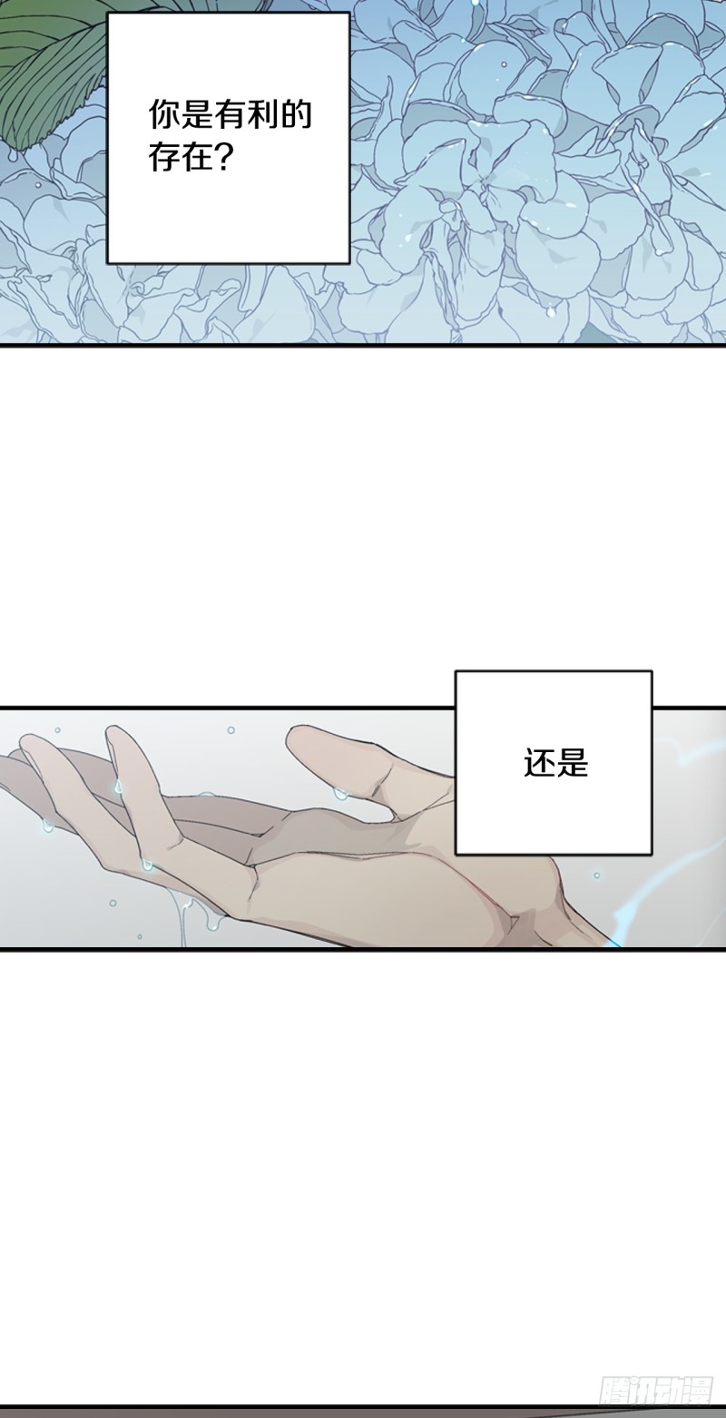 迷蝶方知尔之界漫画,0642图