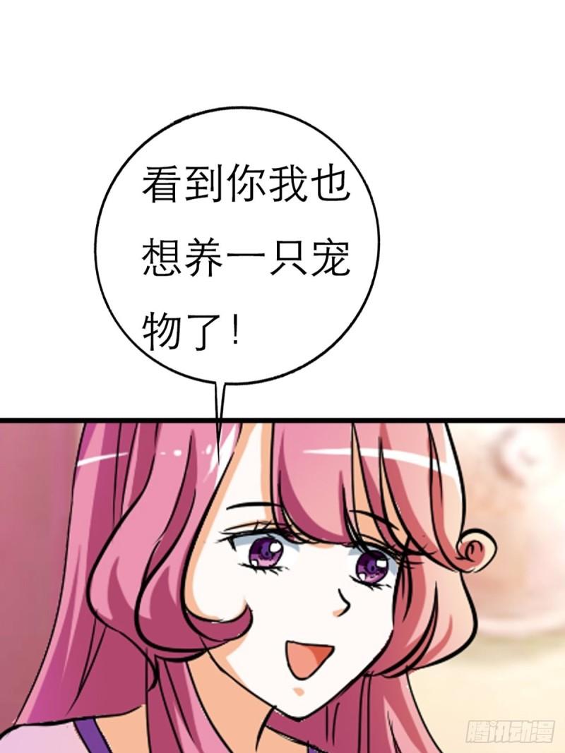 这些神兽有点萌漫画,第七话57图