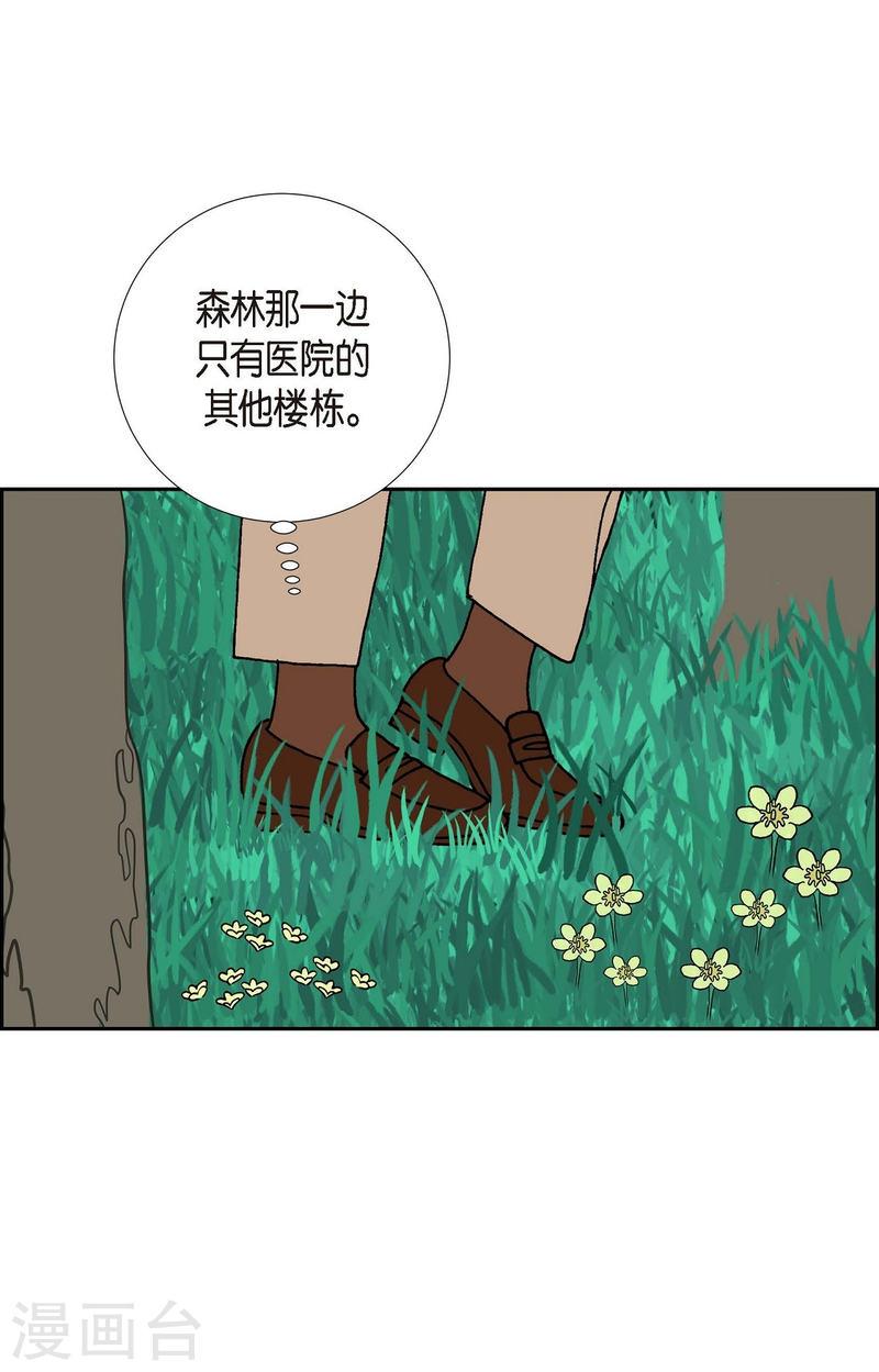 红蓝大乱斗小游戏漫画,第16话 隔壁邻居247图