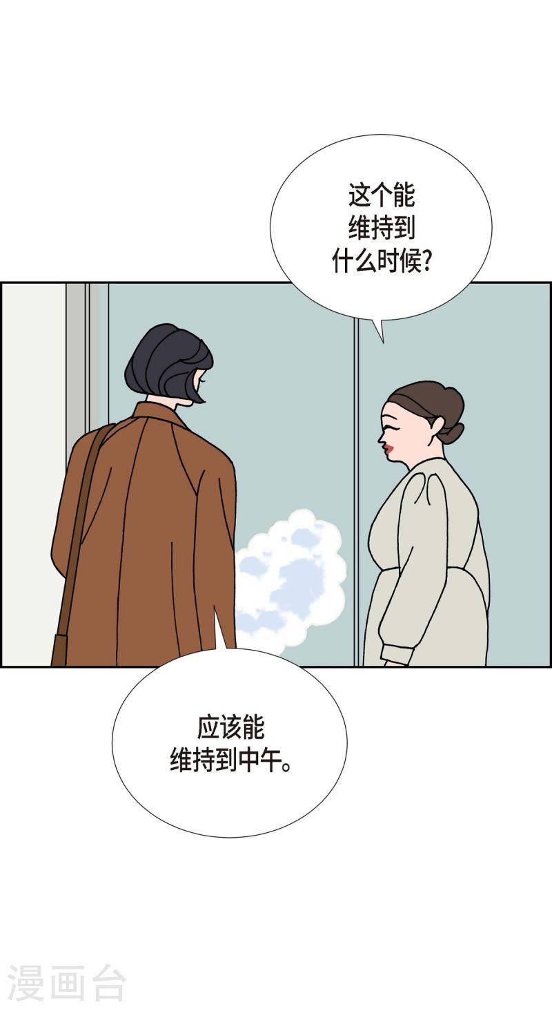 红蓝之子是什么植物漫画,第23话 初恋337图