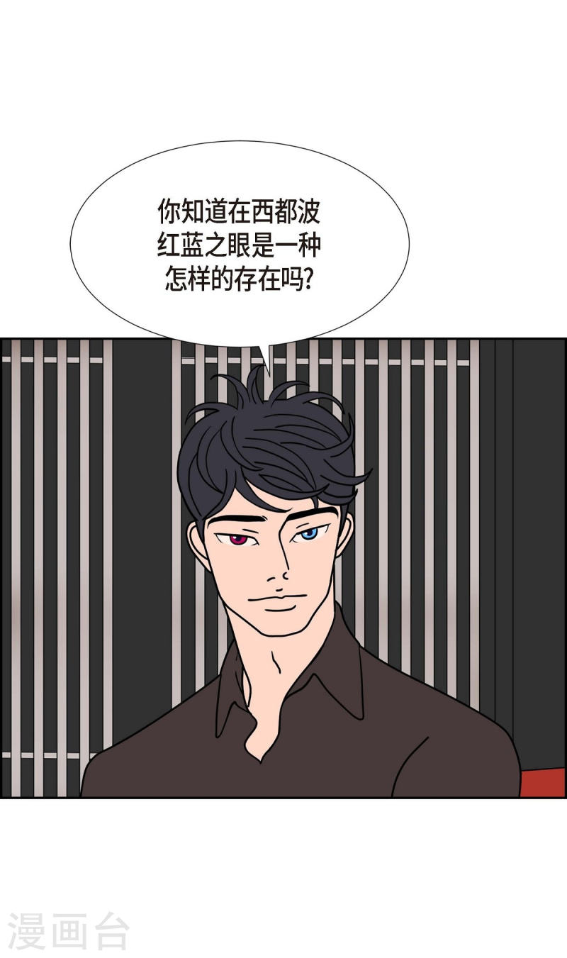 红蓝之间漫画,第1季最终话 选择636图