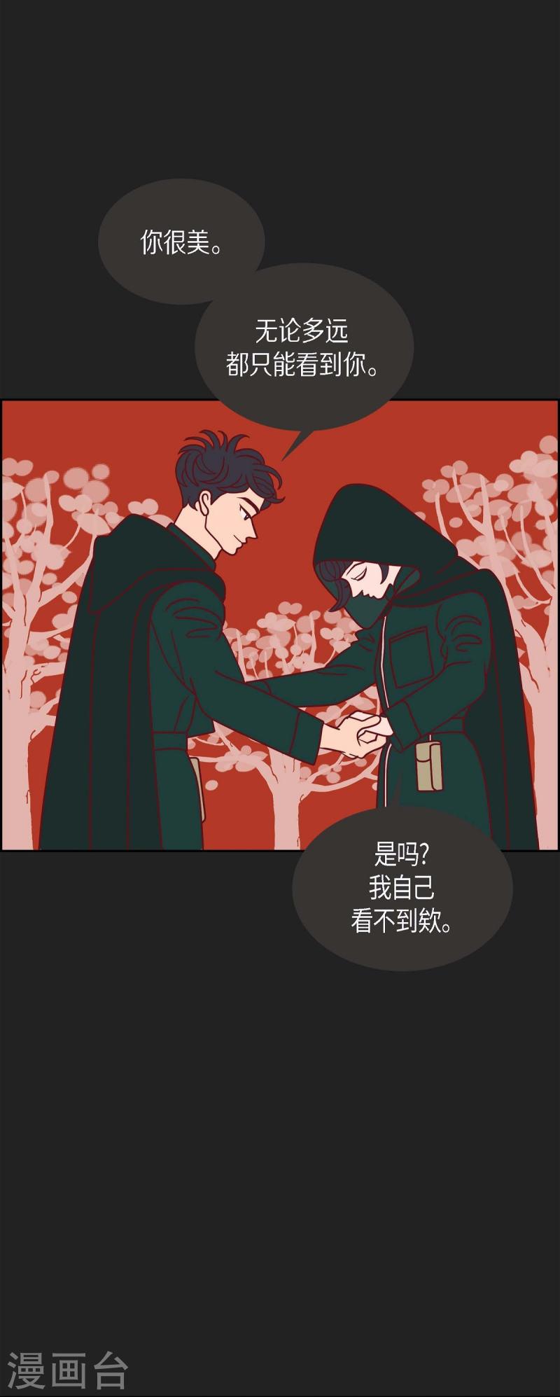 红蓝眼睛之谜漫画,第1季最终话 选择624图