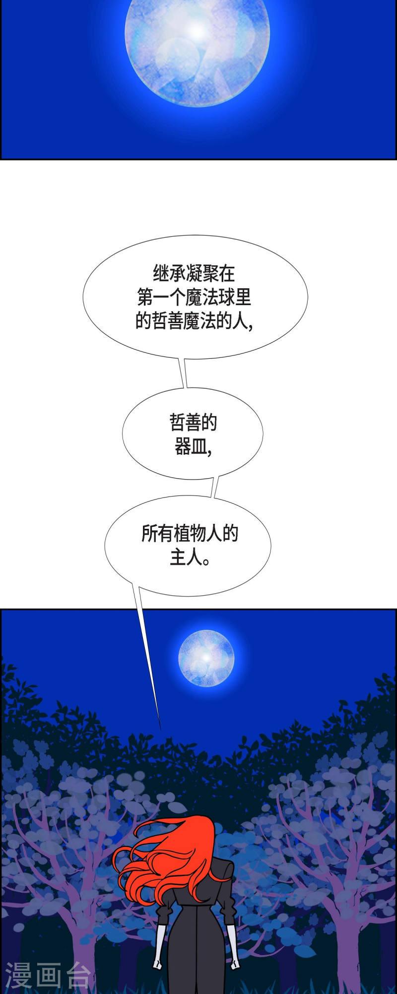 红蓝之子是什么植物漫画,第65话 哲善340图