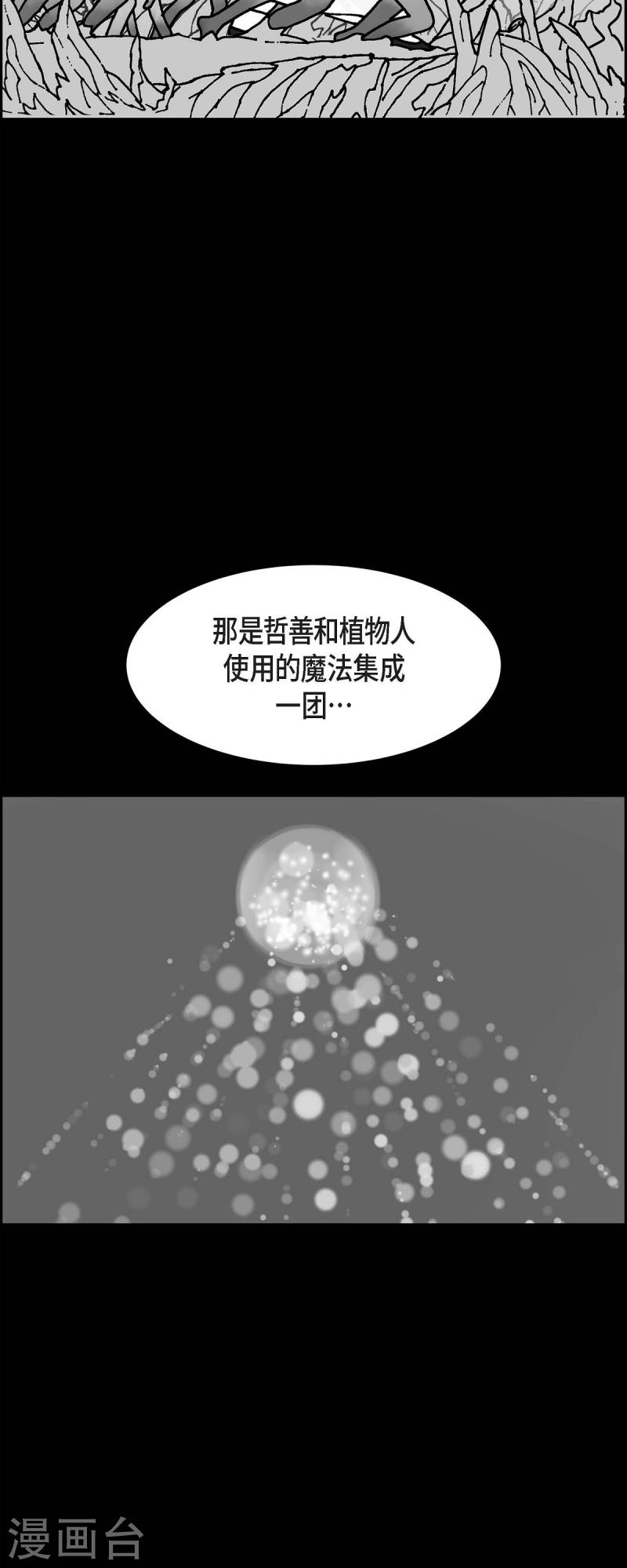 红蓝之子是什么植物漫画,第65话 哲善337图