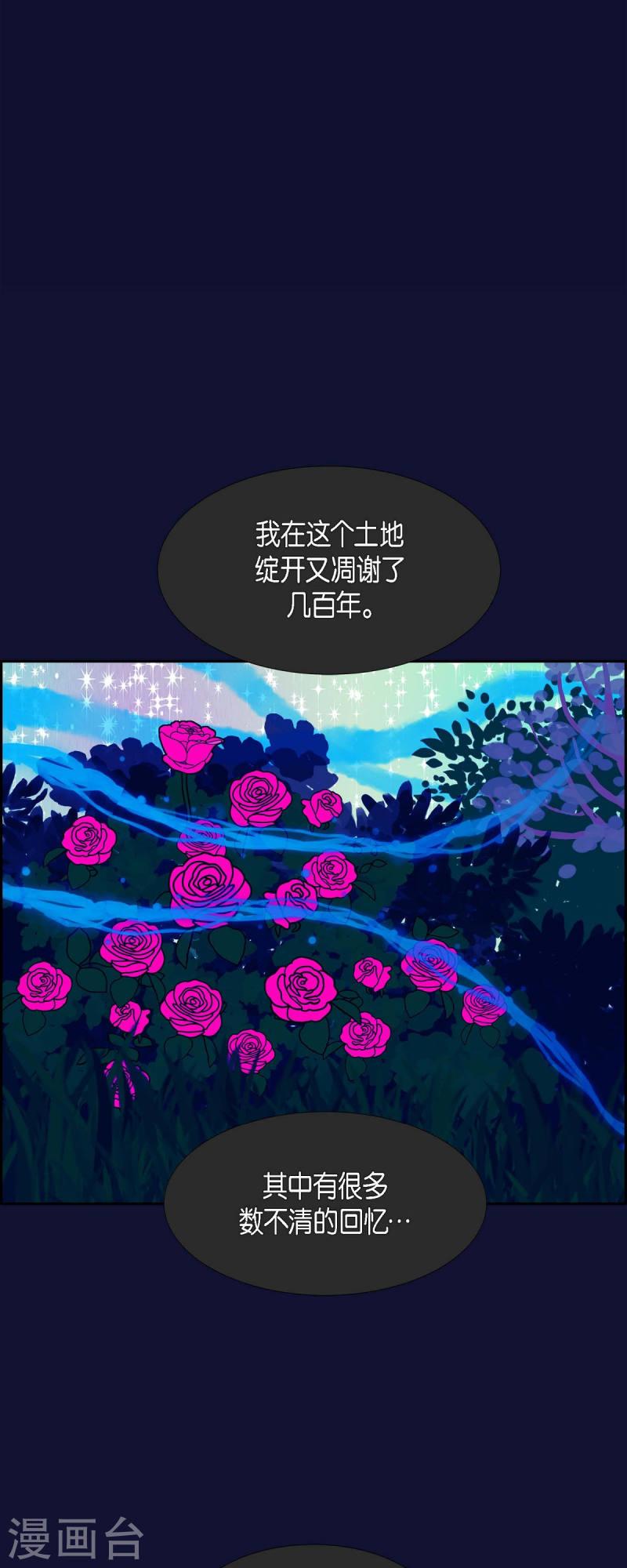 红蓝之子是什么植物漫画,第71话 哲善95图