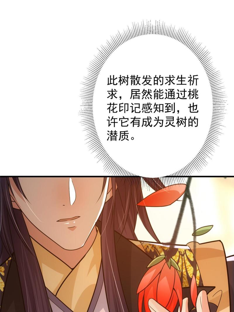 掌门低调点第二季全集漫画,116 尽情装逼50图