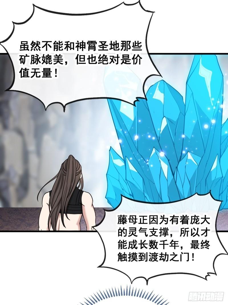 我真的不是气运之子漫画,第一百一十二话：灵石矿脉34图