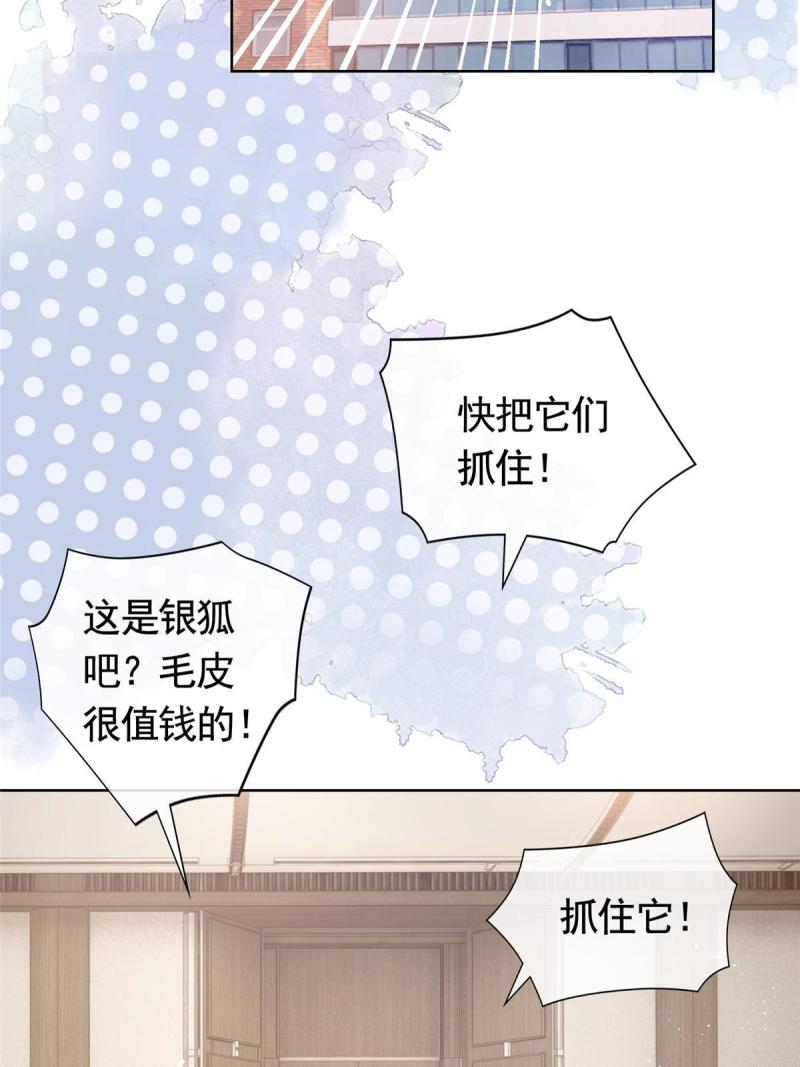 杀手大佬在线养狐漫画免费下拉式零点漫画漫画,069 银狐又落网21图